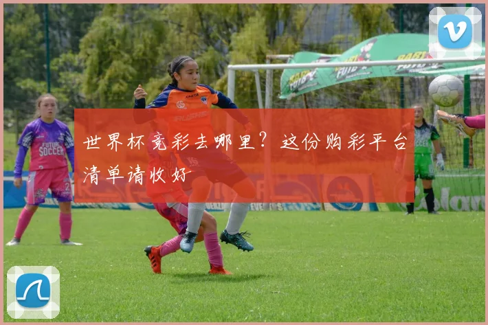 世界杯竞彩去哪里？这份购彩平台清单请收好