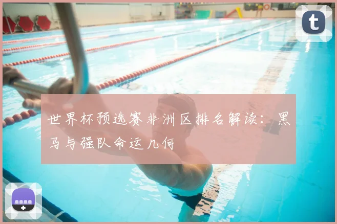 世界杯预选赛非洲区排名解读：黑马与强队命运几何