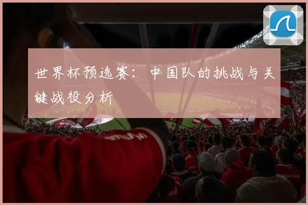 世界杯预选赛：中国队的挑战与关键战役分析