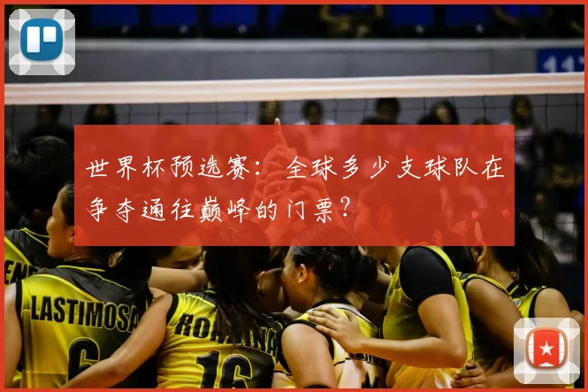 世界杯预选赛：全球多少支球队在争夺通往巅峰的门票？