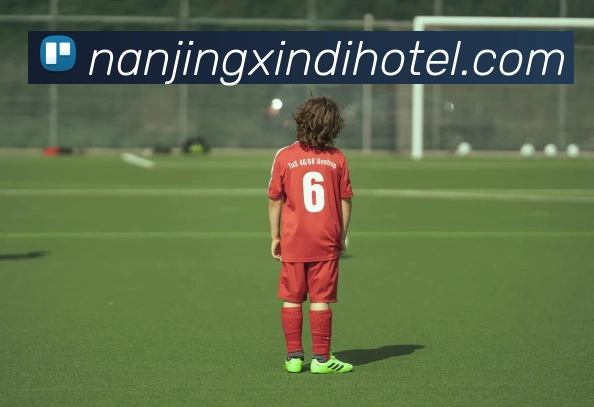 开云手机登录官网服务体系