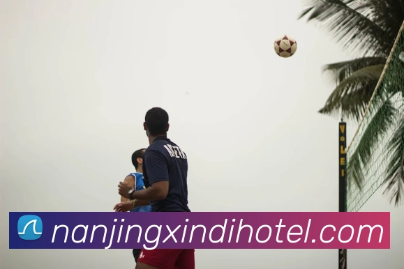 开云手机登录官网APP 体育赛事宣传图